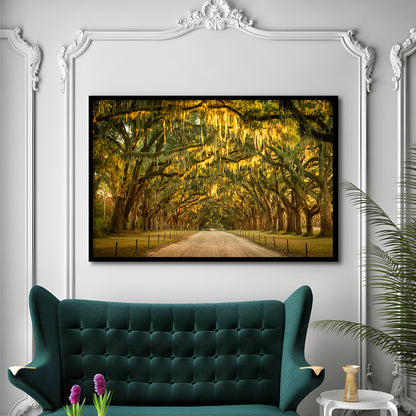 Live Oaks And Spanish Moss Along A Dirt Road, Framed Art Print, Picture Framed