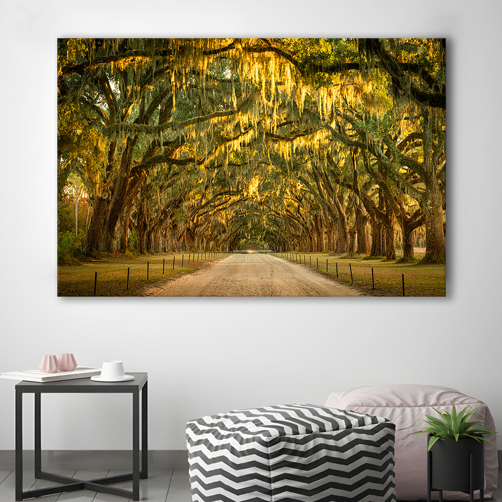 Live oaks and Spanish moss along a dirt road, Cavas Print Wall Art Hom Decor
