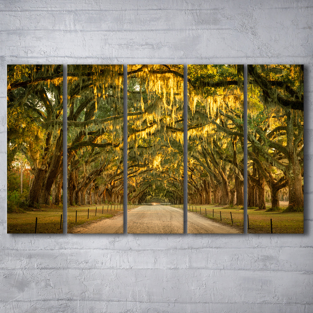 Live oaks and Spanish moss along a dirt road, 5 Piece B Extra Large Cavas Print Wall Art Decor