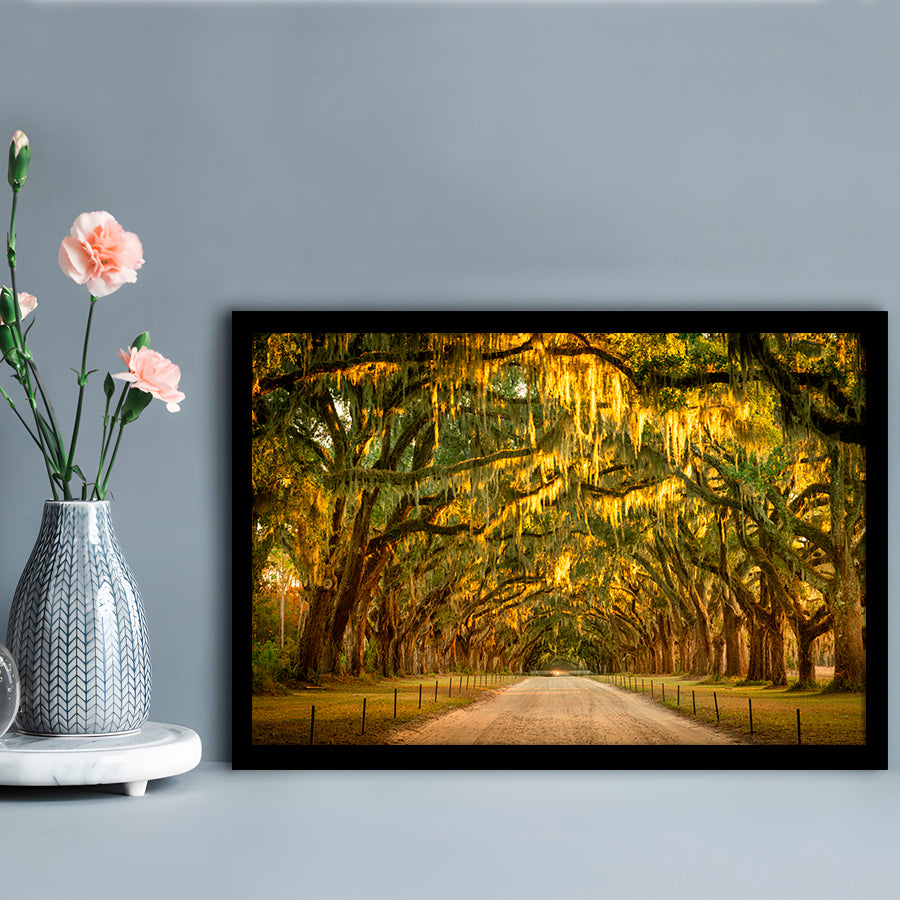 Live Oaks And Spanish Moss Along A Dirt Road, Framed Art Print, Picture Framed