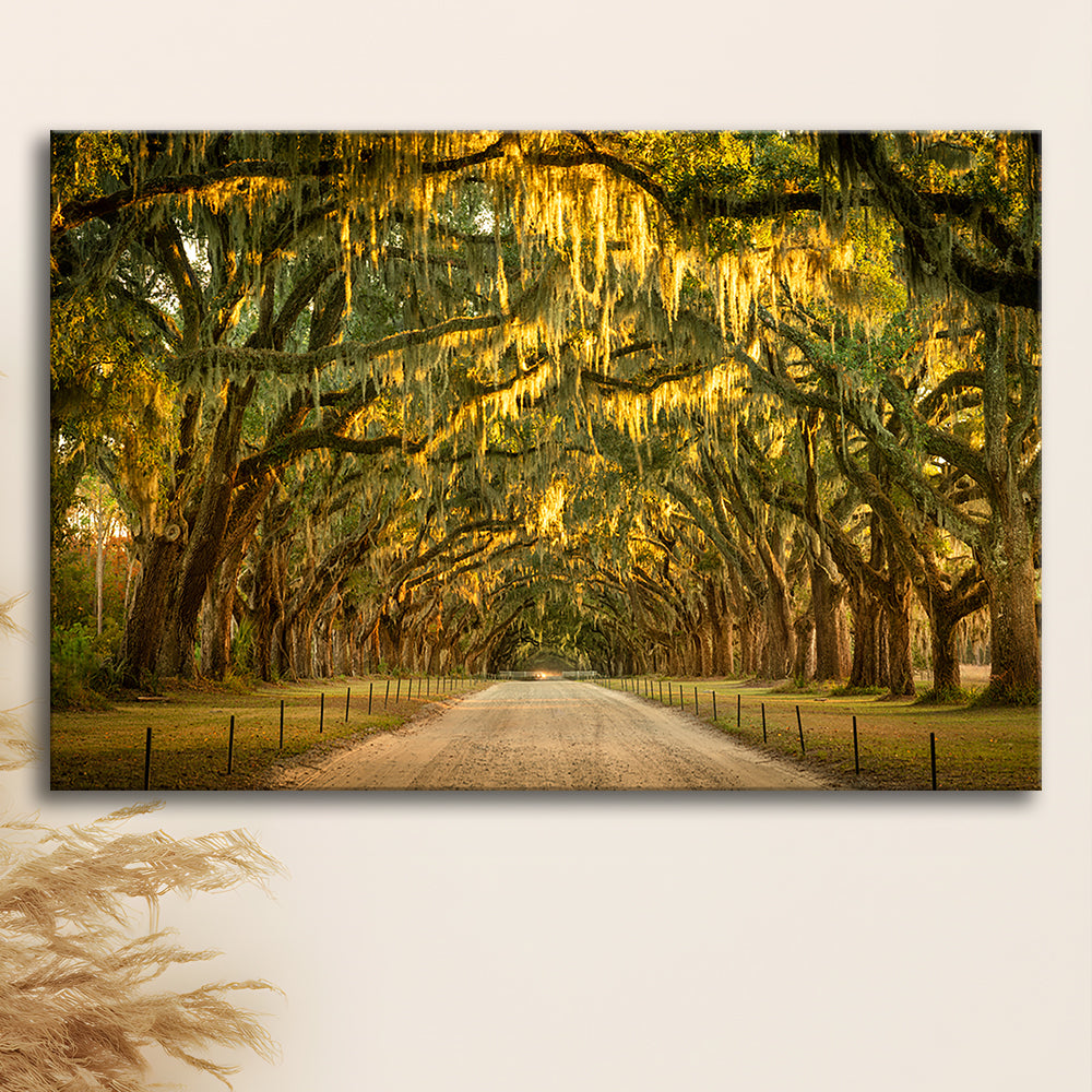 Live oaks and Spanish moss along a dirt road, Cavas Print Wall Art Hom Decor