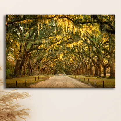 Live oaks and Spanish moss along a dirt road, Cavas Print Wall Art Hom Decor