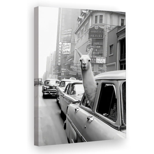 Llama in Times Square New York Canvas Print Wall Art, Black and White, Funny Animal, Retro Wall Decor