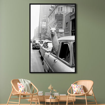 Llama in Times Square New York Framed Canvas Print Wall Art, Black and White, Funny Animal