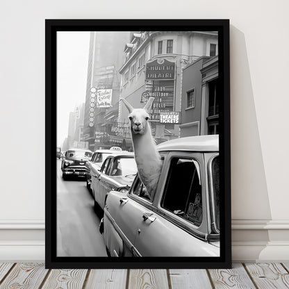 Llama in Times Square New York Framed Canvas Print Wall Art, Black and White, Funny Animal