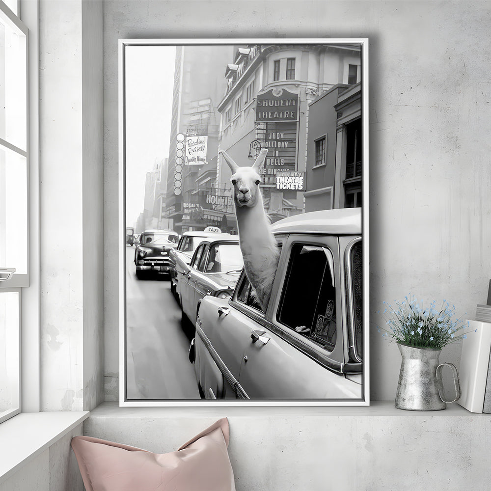 Llama in Times Square New York Framed Canvas Print Wall Art, Black and White, Funny Animal