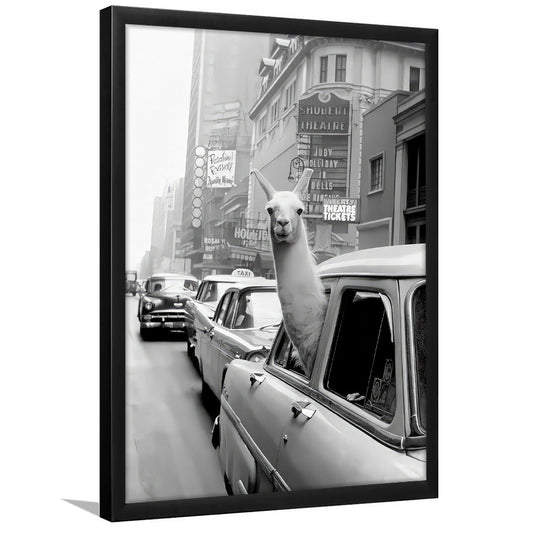 Llama in Times Square New York Framed Art Print Wall Decor, Black and White, Funny Animal