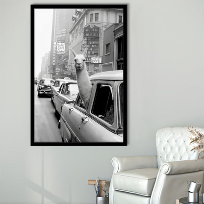 Llama in Times Square New York Framed Art Print Wall Decor, Black and White, Funny Animal