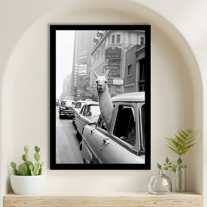 Llama in Times Square New York Framed Art Print Wall Decor, Black and White, Funny Animal