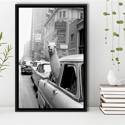 Llama in Times Square New York Framed Canvas Print Wall Art, Black and White, Funny Animal