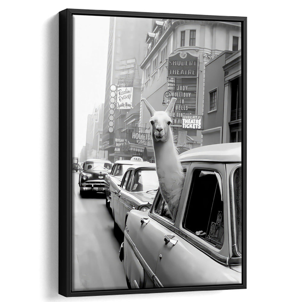 Llama in Times Square New York Framed Canvas Print Wall Art, Black and White, Funny Animal