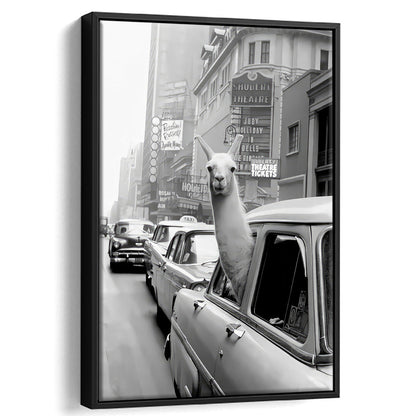 Llama in Times Square New York Framed Canvas Print Wall Art, Black and White, Funny Animal