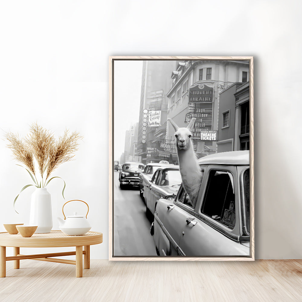 Llama in Times Square New York Framed Canvas Print Wall Art, Black and White, Funny Animal