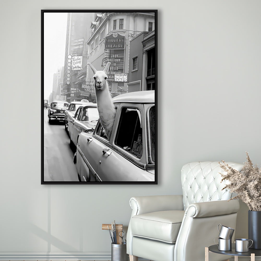 Llama in Times Square New York Framed Canvas Print Wall Art, Black and White, Funny Animal