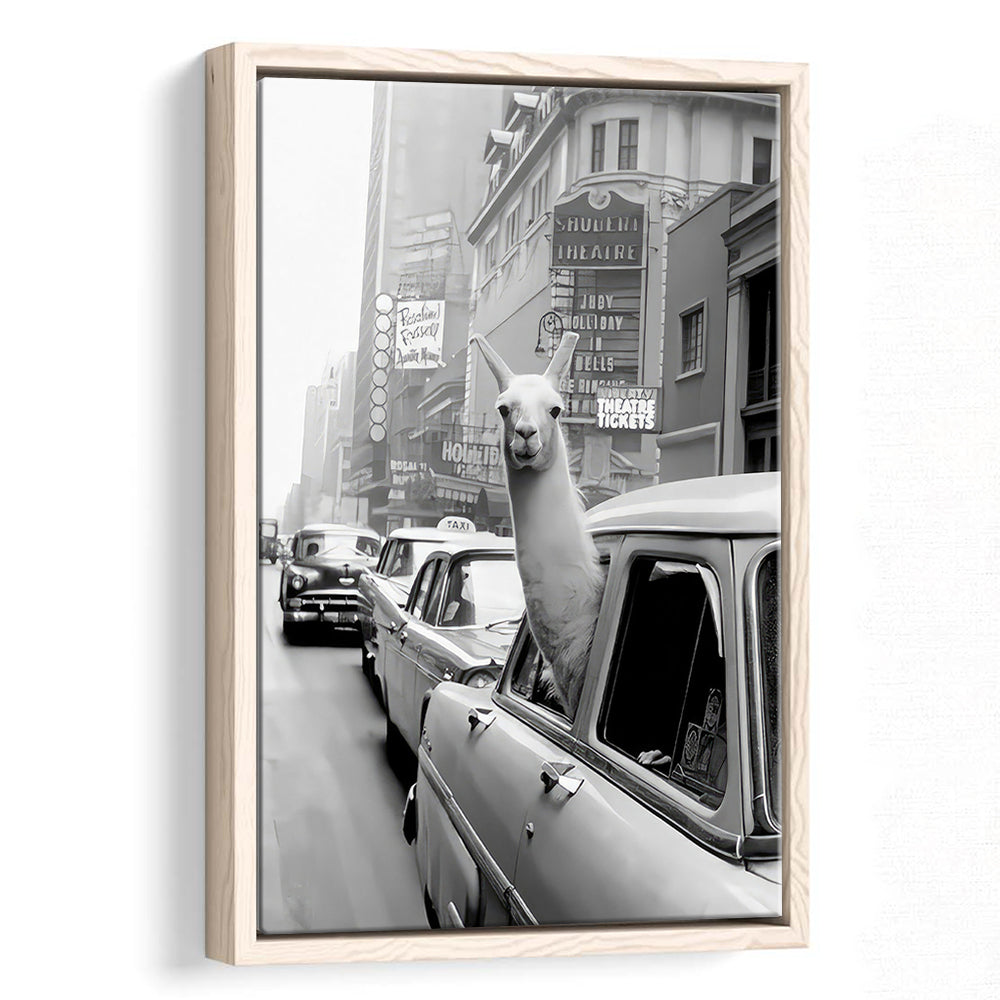 Llama in Times Square New York Framed Canvas Print Wall Art, Black and White, Funny Animal