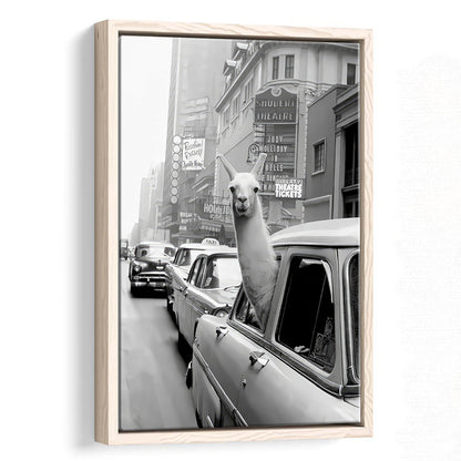 Llama in Times Square New York Framed Canvas Print Wall Art, Black and White, Funny Animal