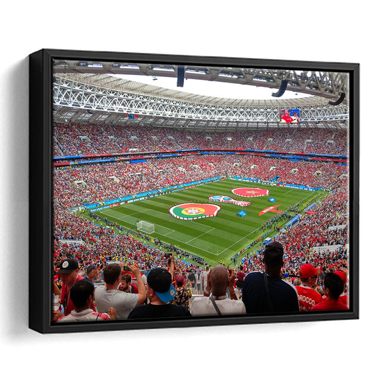 Luzhniki Stadium in Russia, Stadium Canvas, Sport Art, Framed Canvas Print Wall Art, Floating Frame