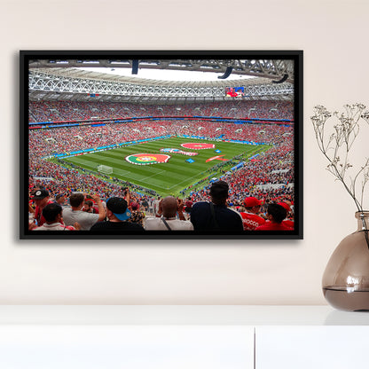 Luzhniki Stadium in Russia, Stadium Canvas, Sport Art, Framed Canvas Print Wall Art, Floating Frame