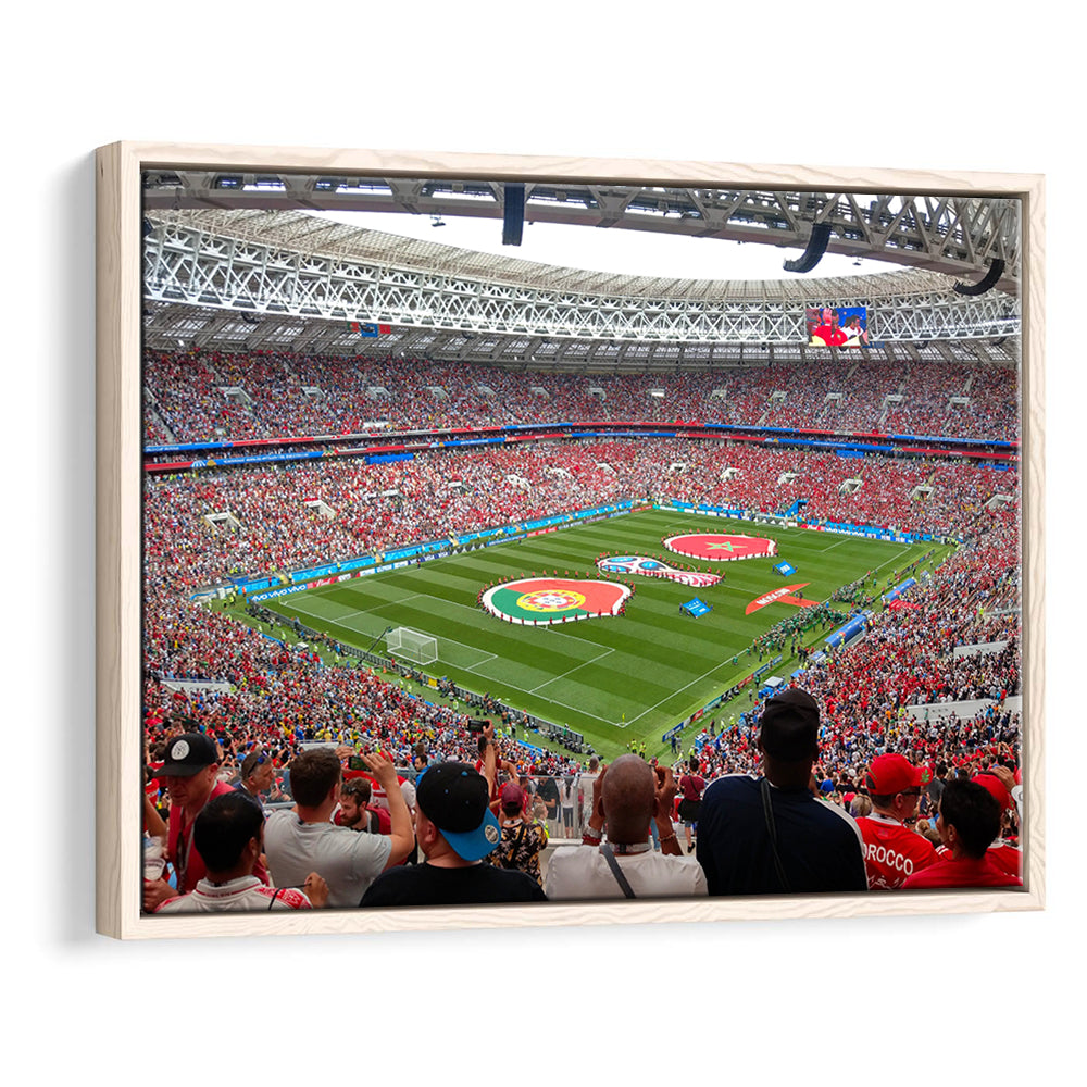 Luzhniki Stadium in Russia, Stadium Canvas, Sport Art, Framed Canvas Print Wall Art, Floating Frame