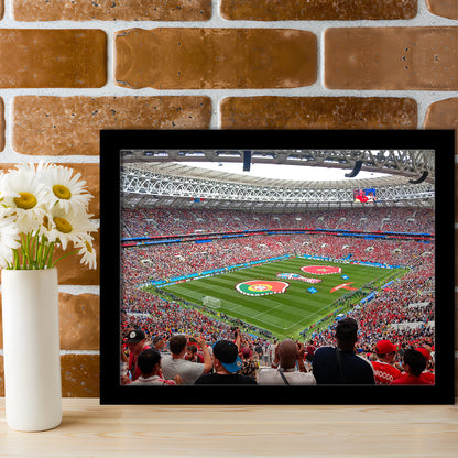 Luzhniki Stadium in Russia, Stadium Canvas, Sport Art, Gift for him, Framed Art Print Wall Decor, Picture Framed