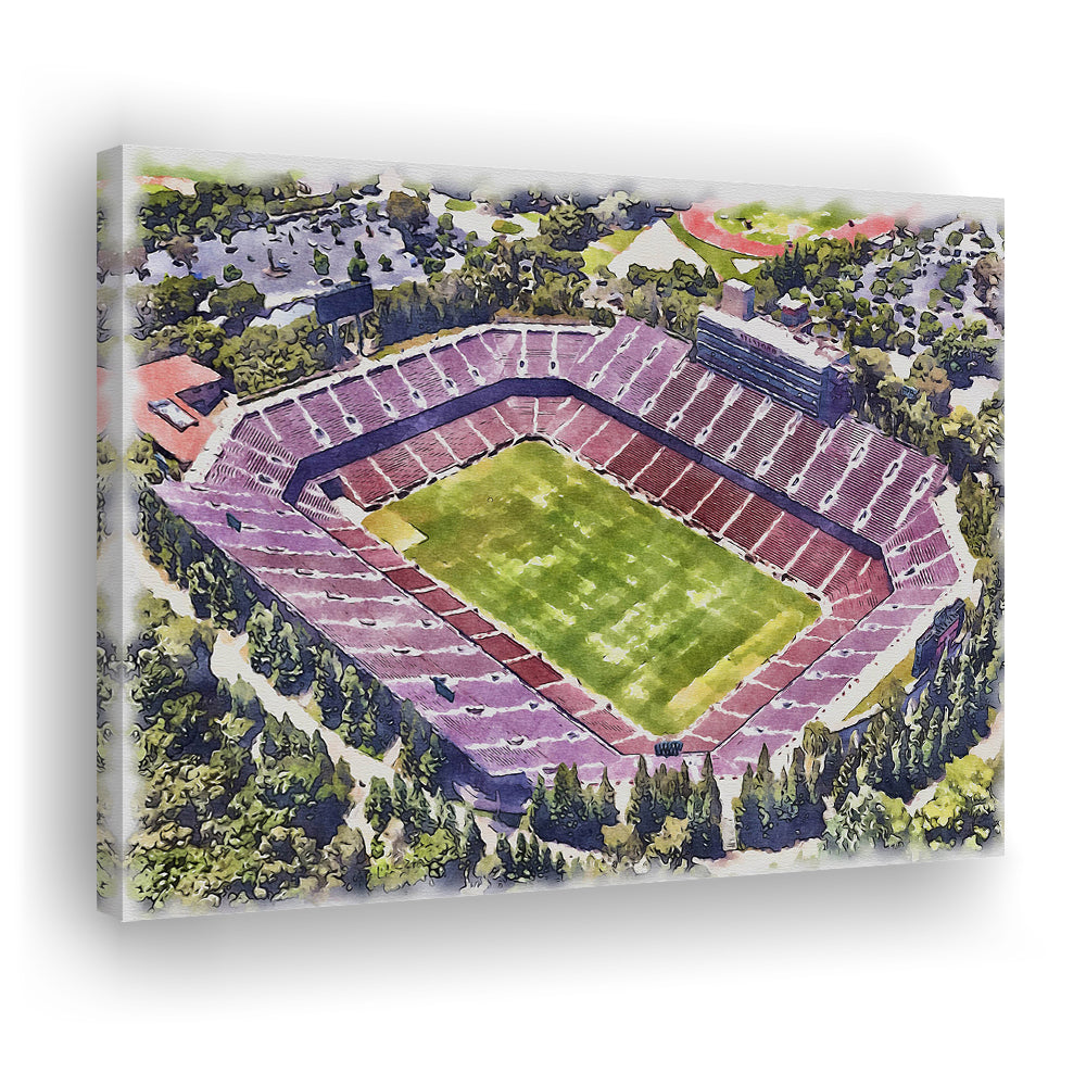Malone Painting Stadium Watercolor, Monroe Louisiana Watercolor, Sport Art, Gifts for him, Canvas Print Wall Art