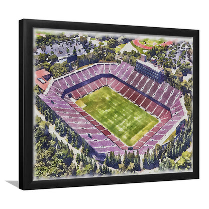 Malone Painting Stadium Watercolor, Monroe Louisiana Watercolor, Sport Gift Art, Framed Art Print Wall Decor