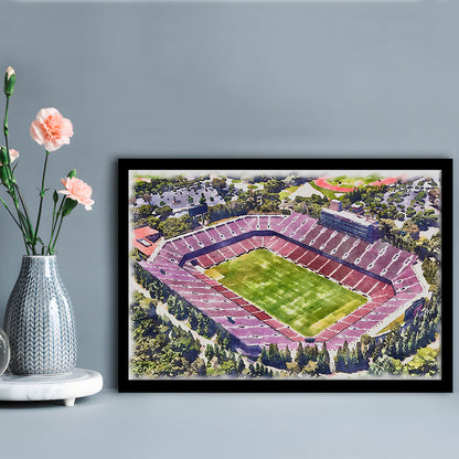 Malone Painting Stadium Watercolor, Monroe Louisiana Watercolor, Sport Gift Art, Framed Art Print Wall Decor