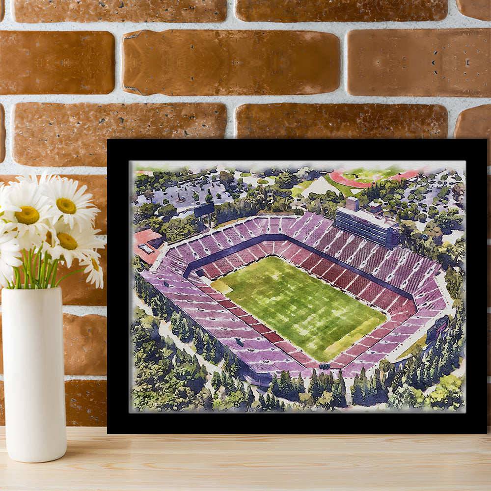 Malone Painting Stadium Watercolor, Monroe Louisiana Watercolor, Sport Gift Art, Framed Art Print Wall Decor