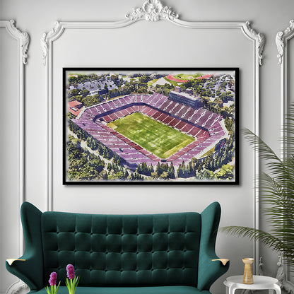 Malone Painting Stadium Watercolor, Monroe Louisiana Watercolor, Sport Gift Art, Framed Art Print Wall Decor