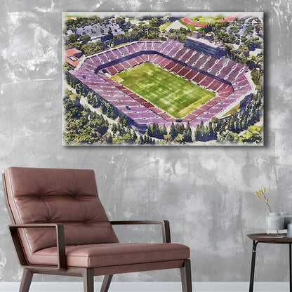 Malone Painting Stadium Watercolor, Monroe Louisiana Watercolor, Sport Art, Gifts for him, Canvas Print Wall Art