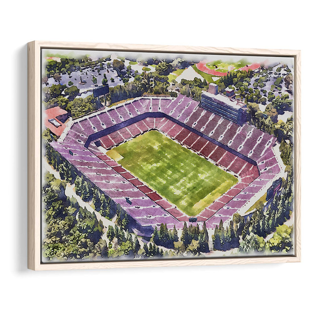 Malone Painting Stadium Watercolor, Monroe Louisiana Watercolor, Sport Gift Art, Framed Canvas Print Wall Art