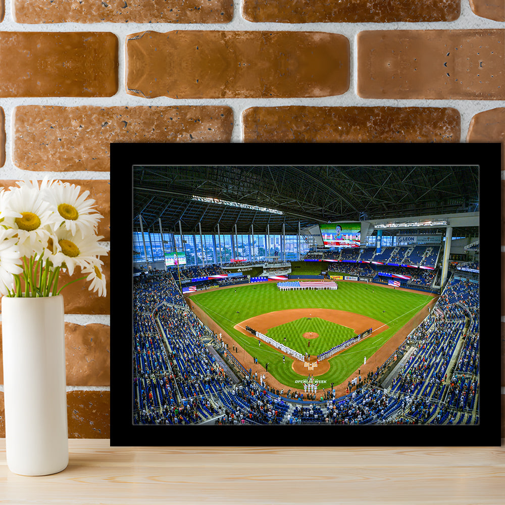 Marlins Park, Stadium Canvas, Sport Art, Gift for him, Framed Art Print Wall Decor, Picture Framed