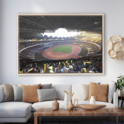 May Stadium North Korea, Stadium Canvas, Sport Art, Framed Canvas Print Wall Art, Floating Frame