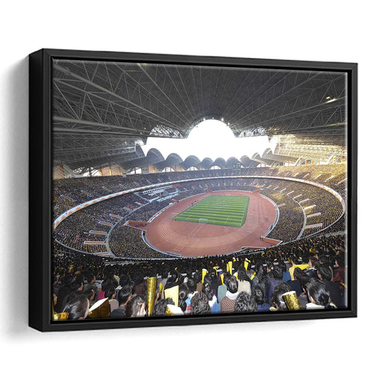 May Stadium North Korea, Stadium Canvas, Sport Art, Framed Canvas Print Wall Art, Floating Frame