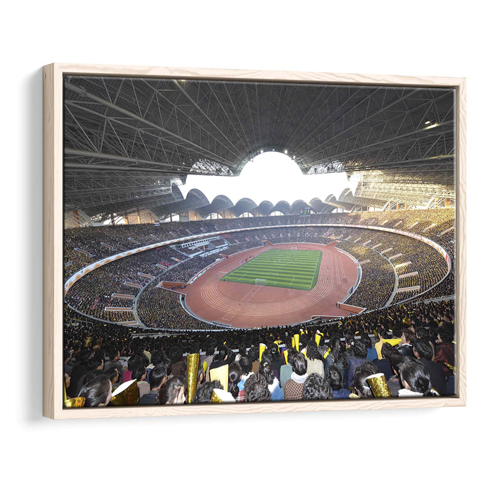 May Stadium North Korea, Stadium Canvas, Sport Art, Framed Canvas Print Wall Art, Floating Frame