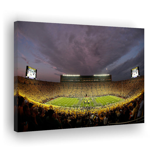 Michigan Wolverine Football, Stadium Canvas, Sport Art, Gift for him, Man Cave Decor, Art Print, Canvas Print Wall Art