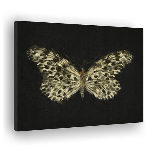 Minimalist Butterfly Wings Canvas Print Wall Art, Vintage Butterfly Oil Painting Antique Botanical Nursery Wall Decor