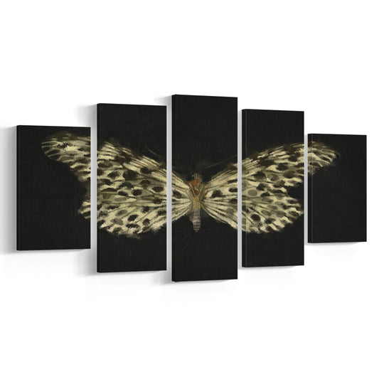 Minimalist Butterfly Wings Mixed Canvas Print Wall Art, Vintage Butterfly Oil Painting Antique Botanical Nursery Wall Decor