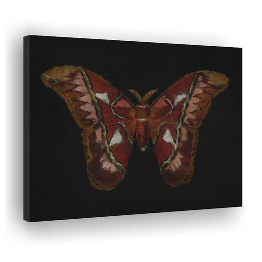 Minimalist Monarch Butterfly Canvas Print Wall Art, Vintage Butterfly Oil Painting Antique Botanical