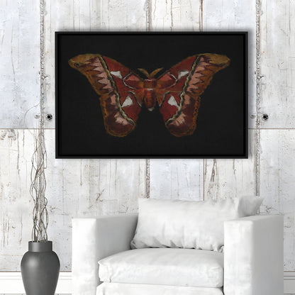 Minimalist Monarch Butterfly Framed Canvas Print Wall Art, Vintage Butterfly Oil Painting Antique Botanical