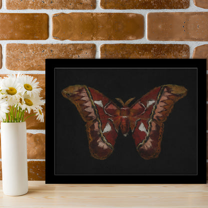Minimalist Monarch Butterfly Framed Art Print Wall Decor, Vintage Butterfly Oil Painting Antique Botanical