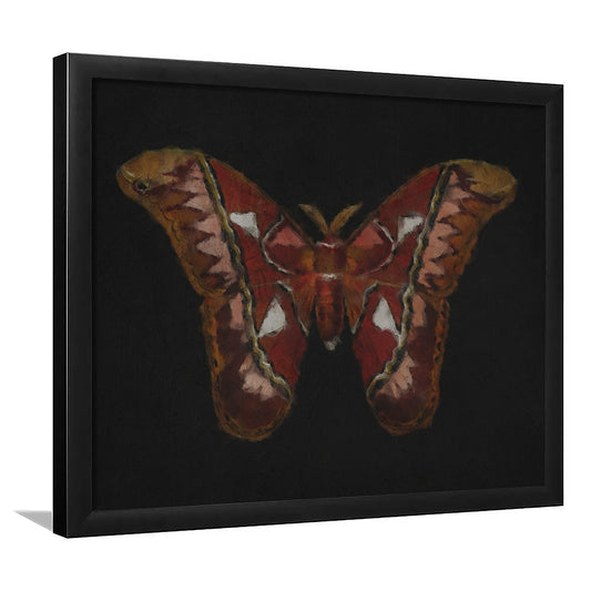 Minimalist Monarch Butterfly Framed Art Print Wall Decor, Vintage Butterfly Oil Painting Antique Botanical