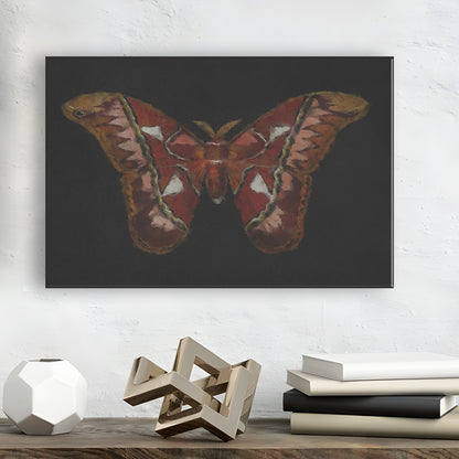 Minimalist Monarch Butterfly Canvas Print Wall Art, Vintage Butterfly Oil Painting Antique Botanical