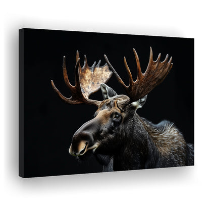 Moose Portrait With Black Background, Hunting Art Decor, Canvas Print Wall Art Home Decor