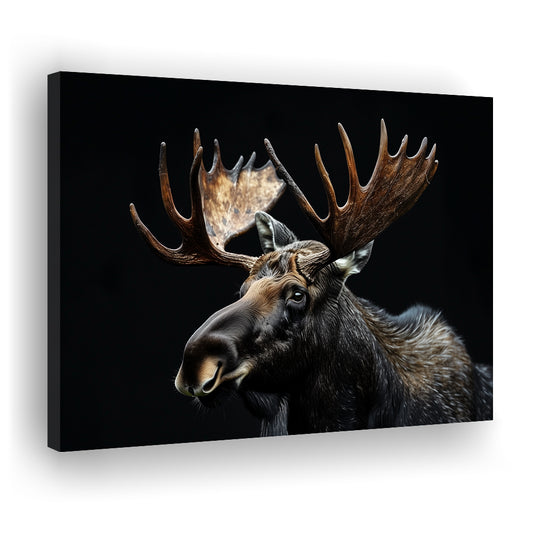 Moose Portrait With Black Background, Hunting Art Decor, Canvas Print Wall Art Home Decor