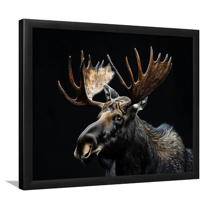 Moose Portrait With Black Background, Hunting Art Decor, Framed Art Print Wall Decor, Framed Picture