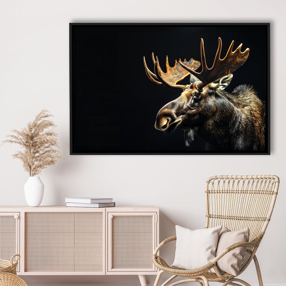 Moose Portrait With Black Background, Hunting Art Decor V1, Floating Framed Canvas Print Wall Art