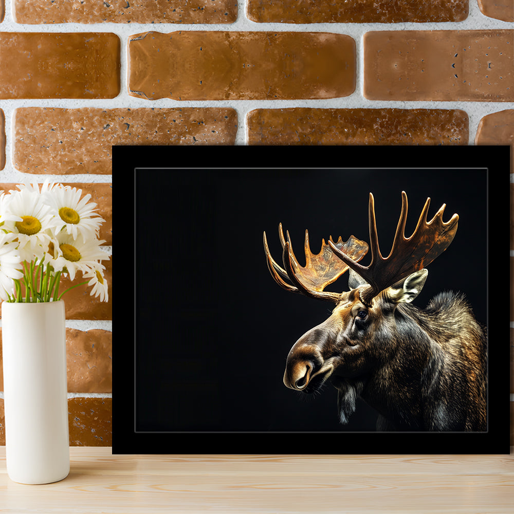 Moose Portrait With Black Background, Hunting Art Decor V1, Framed Art Print Wall Decor, Framed Picture