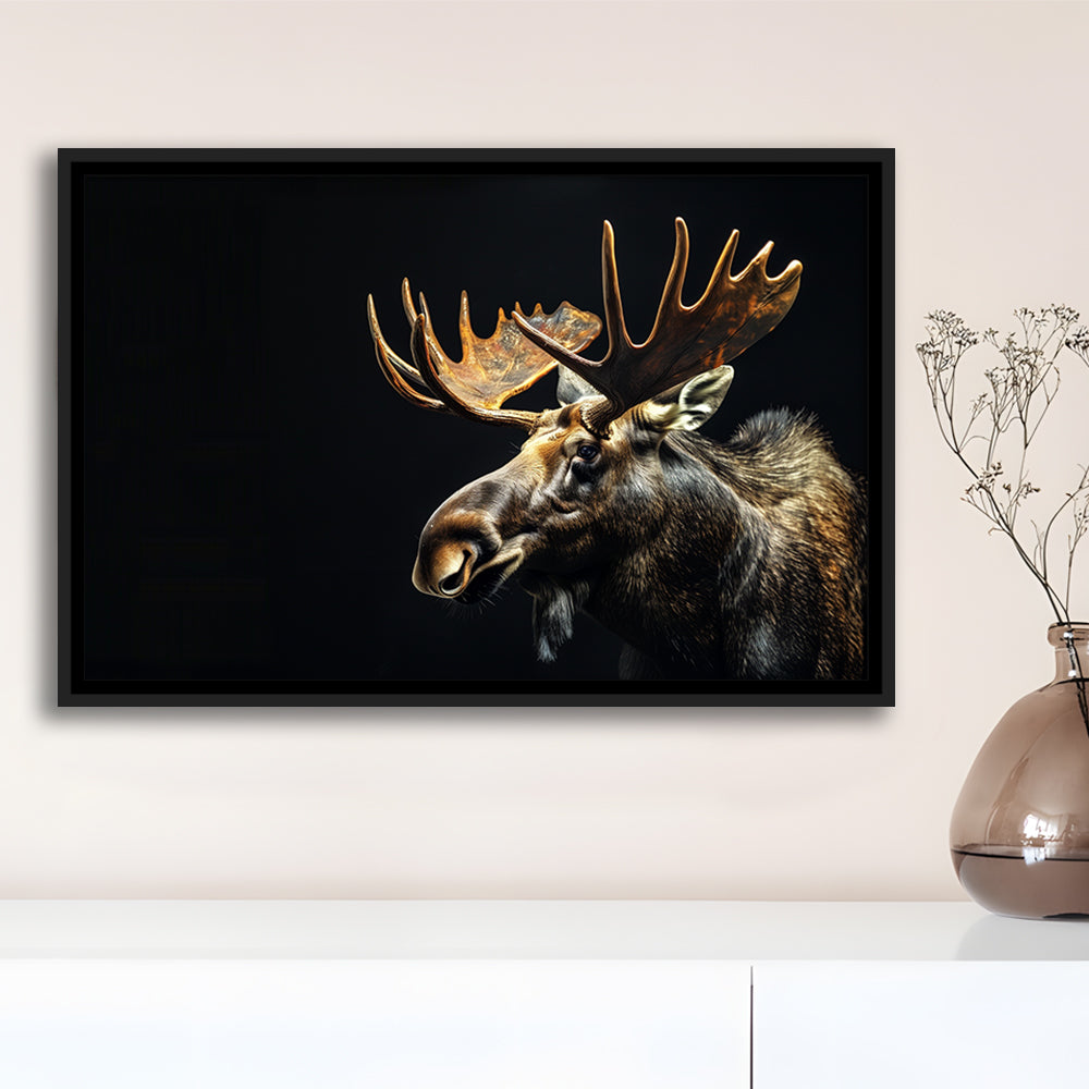Moose Portrait With Black Background, Hunting Art Decor V1, Floating Framed Canvas Print Wall Art