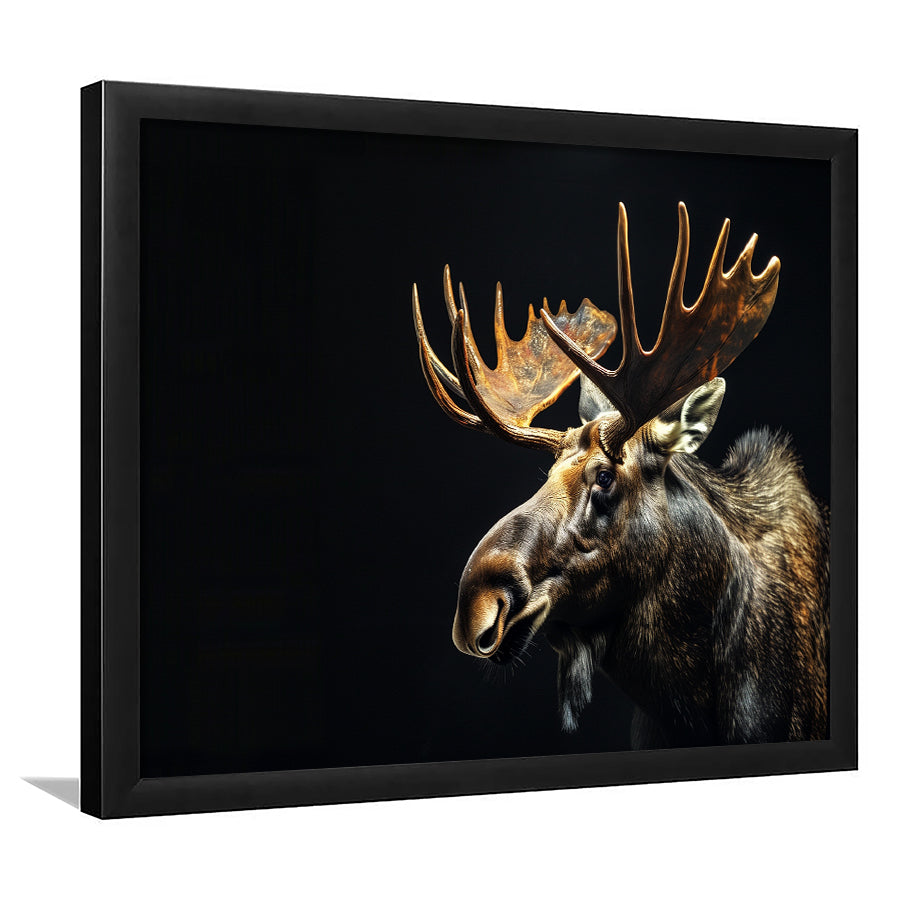 Moose Portrait With Black Background, Hunting Art Decor V1, Framed Art Print Wall Decor, Framed Picture